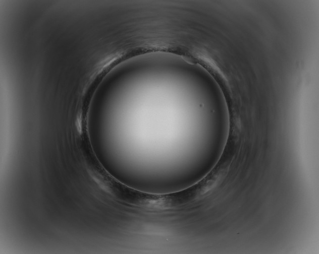 X0000086980068200704161455