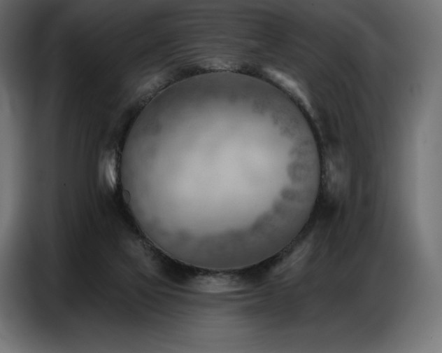 X0000086980069200704161455