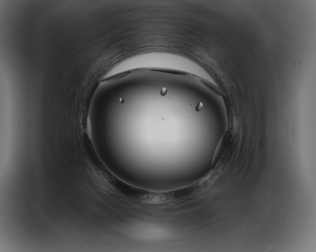 X0000086980074200704161455
