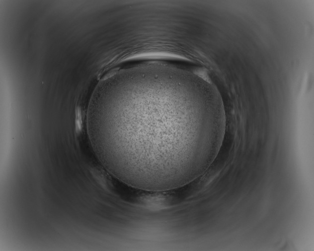 X0000086980075200704161455