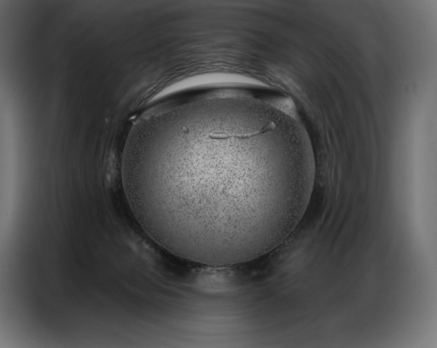 X0000086980077200704161456