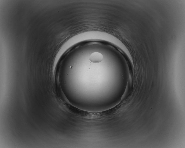 X0000086980080200704161456