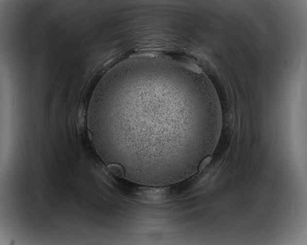 X0000086980081200704161456