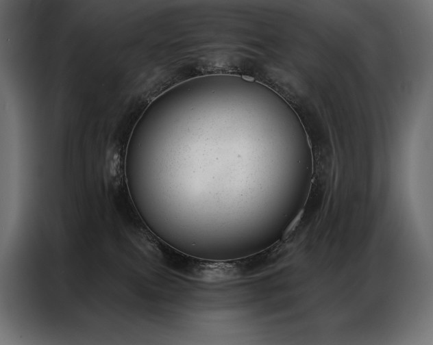 X0000086980087200704161456