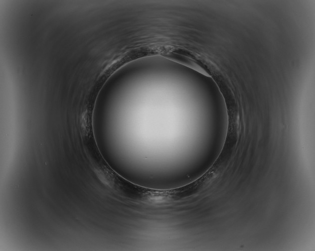 X0000086980088200704161456