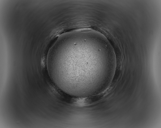 X0000086980090200704161456