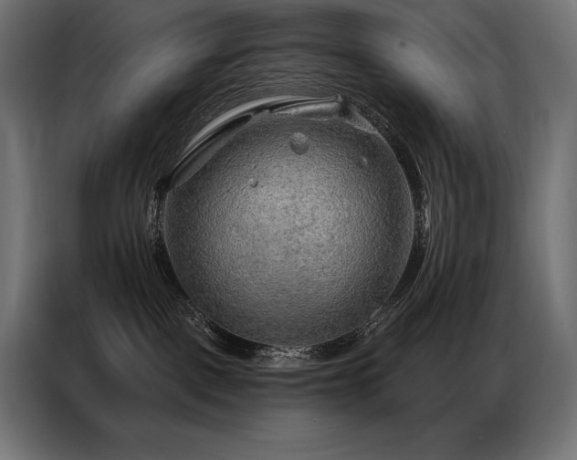 X0000086980093200704161456