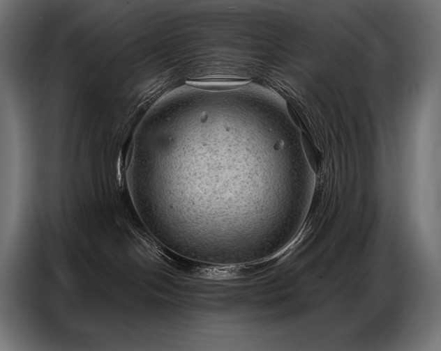 X0000086980094200704161456