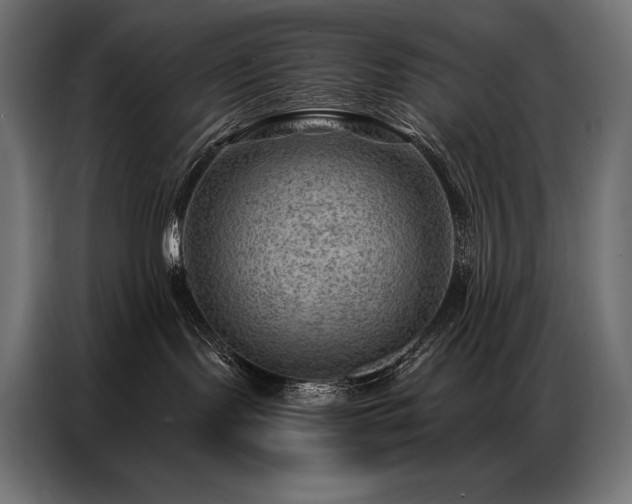 X0000086980095200704161456