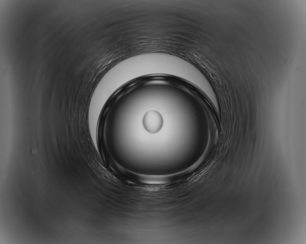 X0000086980096200704161456