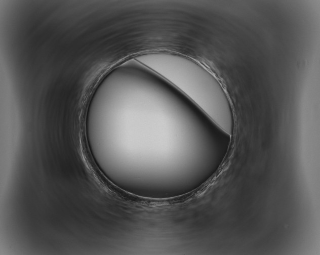 X0000086980097200704161455