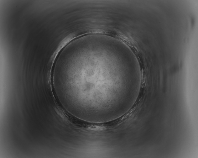 X0000086980099200704161455