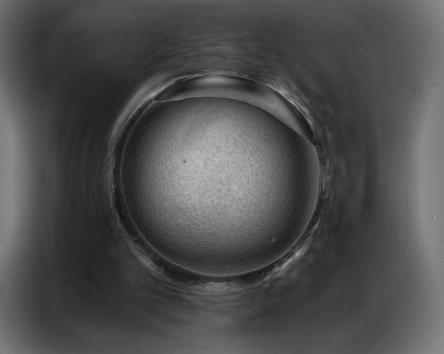 X0000086980101200704161455