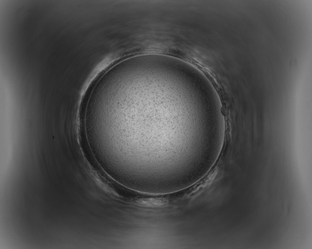 X0000086980102200704161455