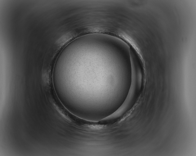 X0000086980105200704161455