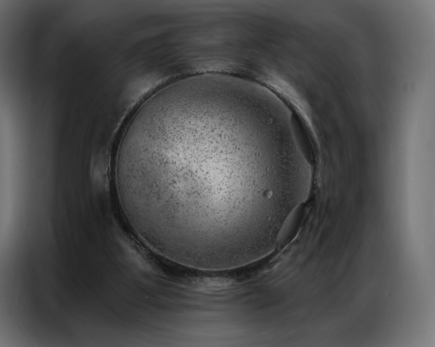X0000086980107200704161455