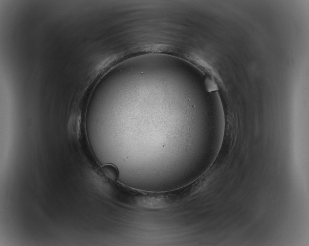 X0000086980110200704161455