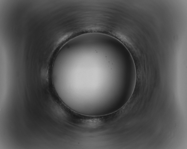 X0000086980112200704161455