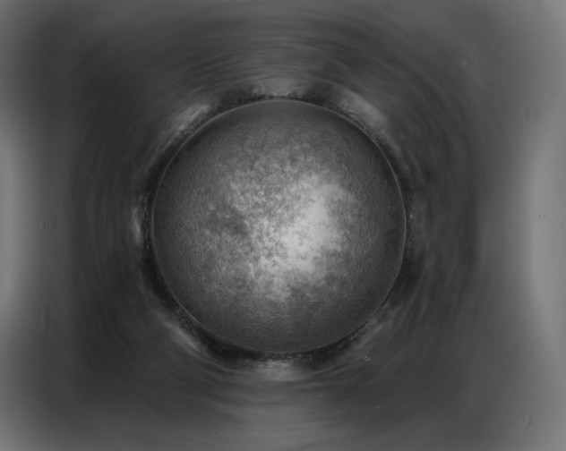 X0000086980114200704161455