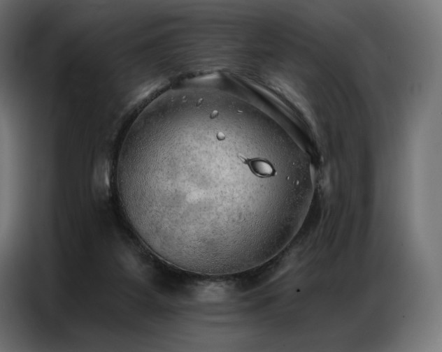 X0000086980115200704161455