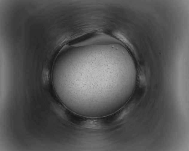 X0000086980117200704161455