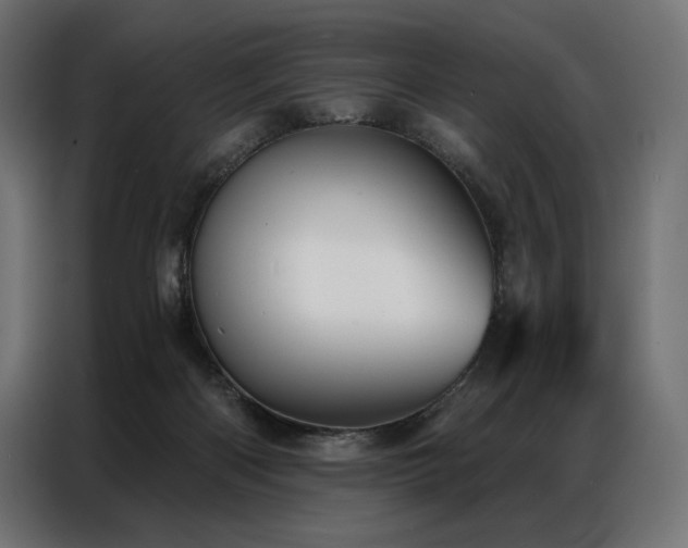 X0000086980122200704161455