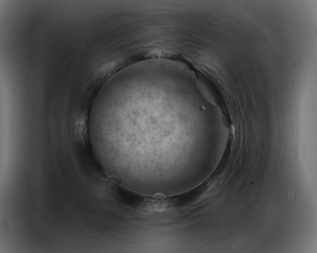 X0000086980127200704161455