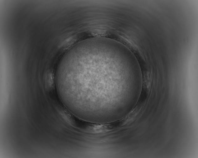 X0000086980130200704161455