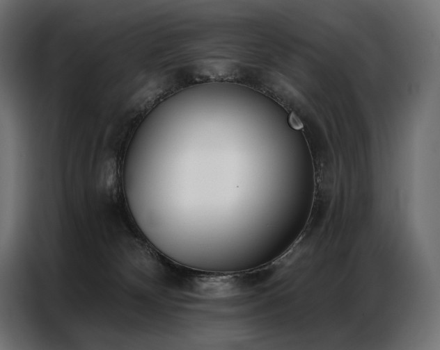X0000086980132200704161455