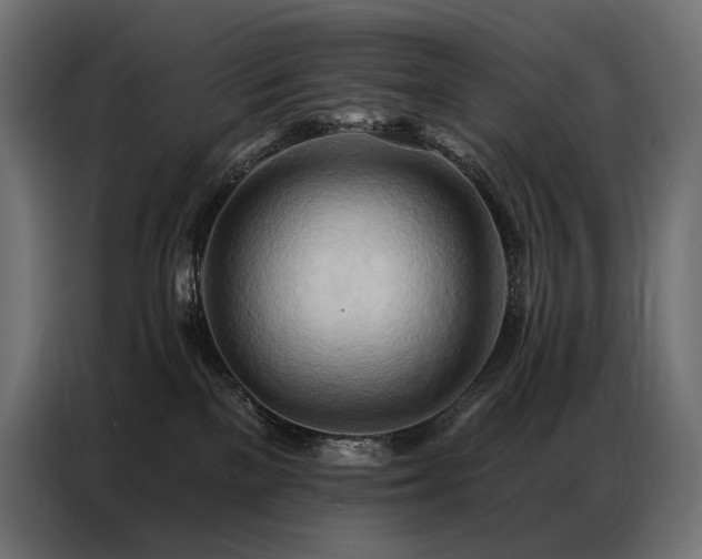 X0000086980137200704161455