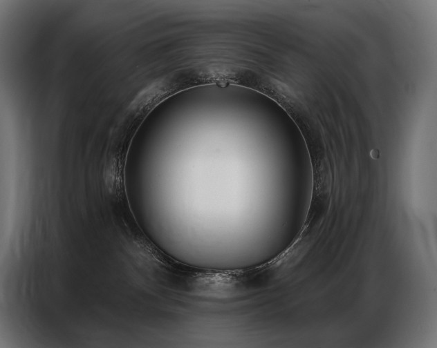 X0000086980140200704161455