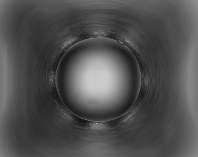 X0000086980141200704161455