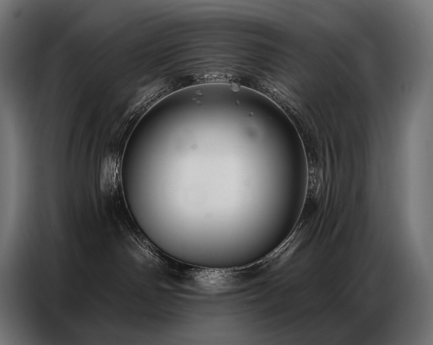 X0000086980142200704161455