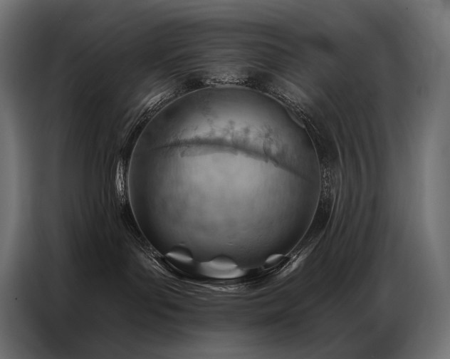 X0000086980143200704161455