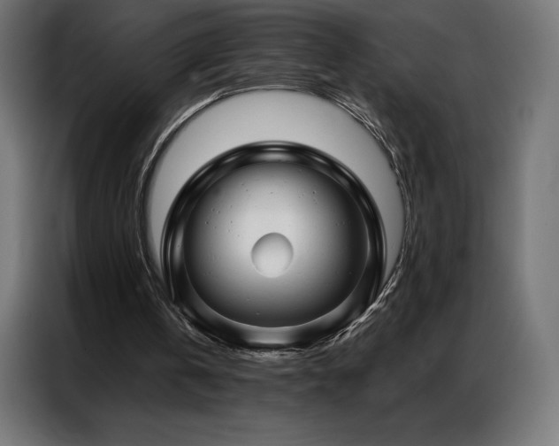 X0000086980146200704161454
