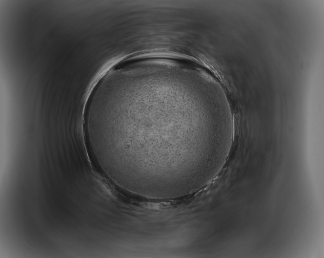 X0000086980147200704161454