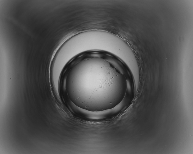 X0000086980148200704161454