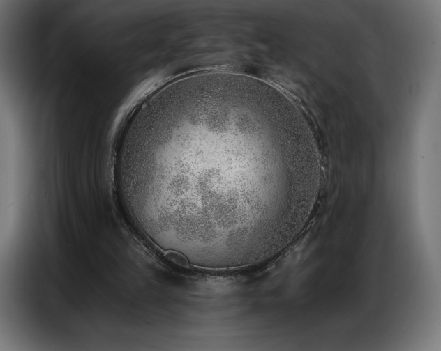 X0000086980149200704161454