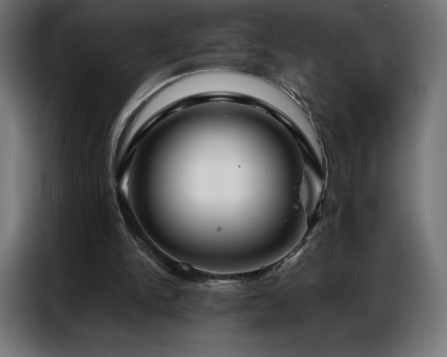 X0000086980150200704161454