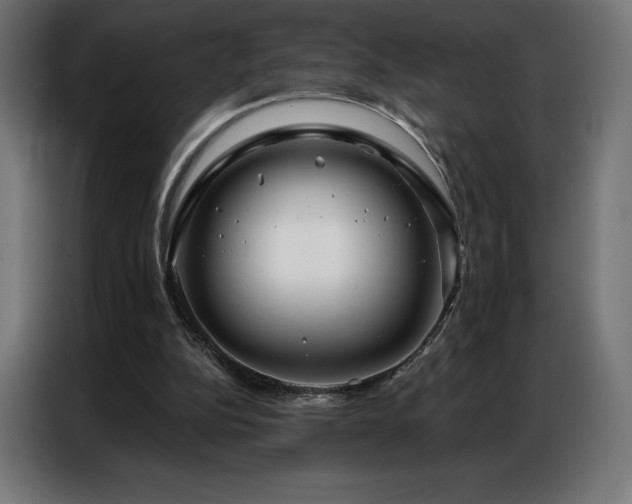 X0000086980152200704161454