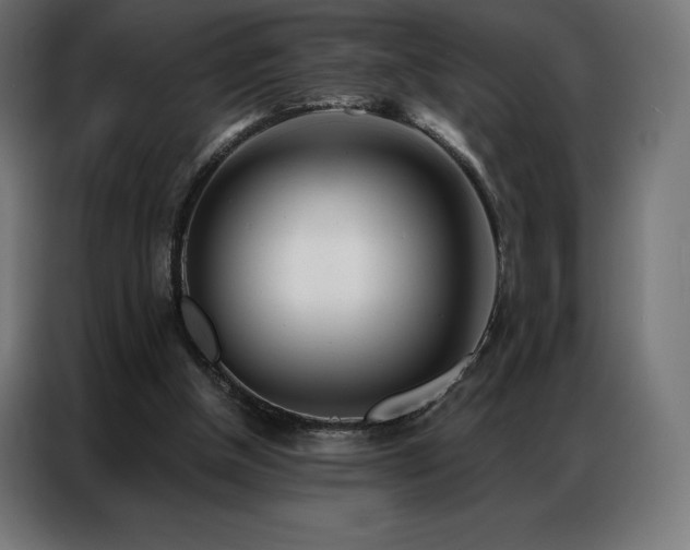 X0000086980154200704161454