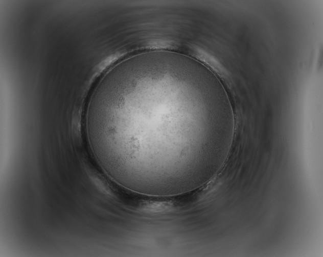 X0000086980155200704161454