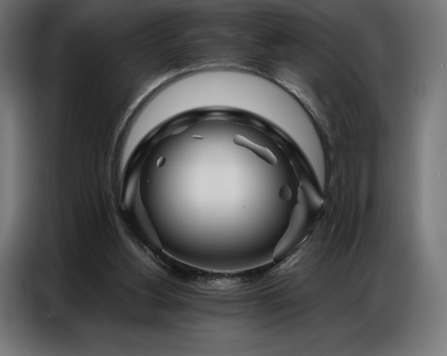 X0000086980156200704161454