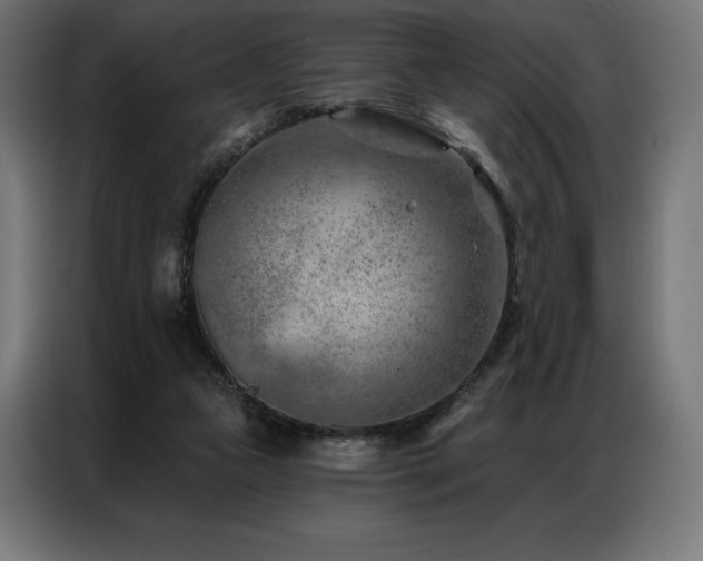 X0000086980161200704161454