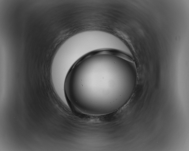 X0000086980162200704161454