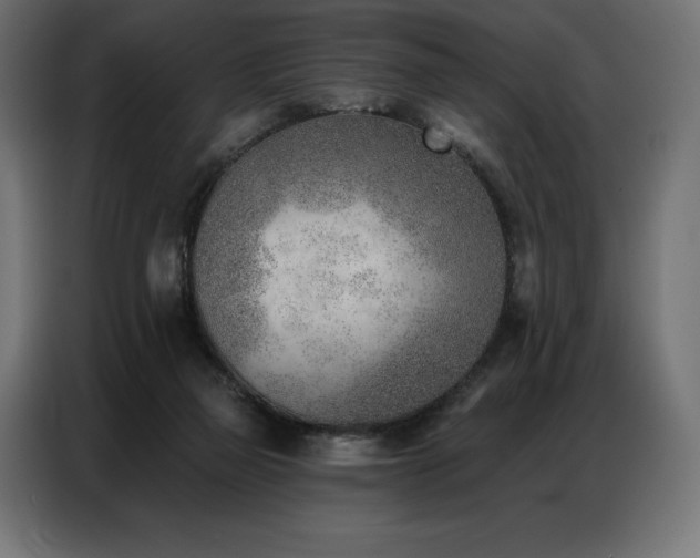 X0000086980165200704161454
