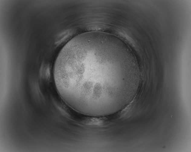 X0000086980166200704161454