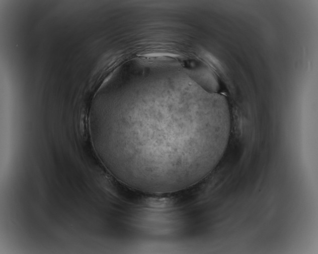 X0000086980169200704161454