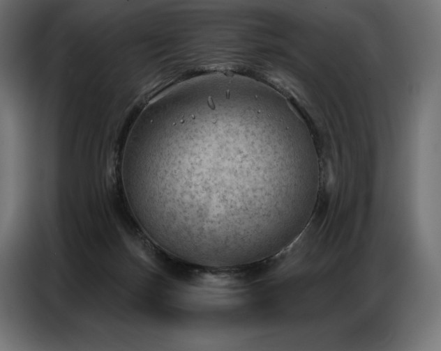 X0000086980171200704161454