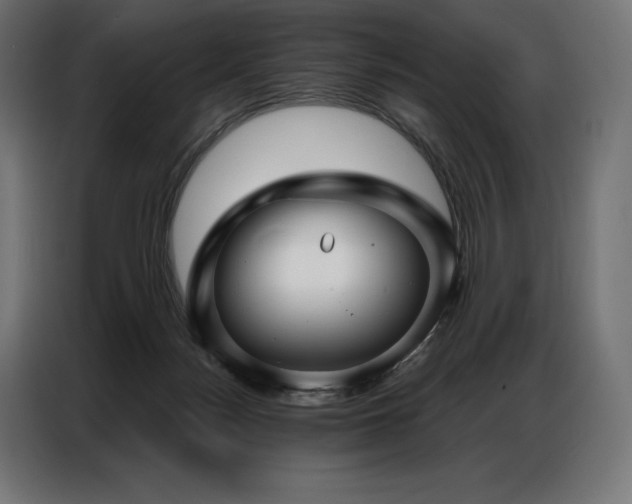 X0000086980172200704161454